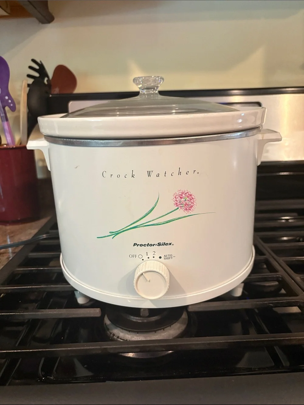 Proctor Silex White Crock Watcher Slow Cooker Crockpot